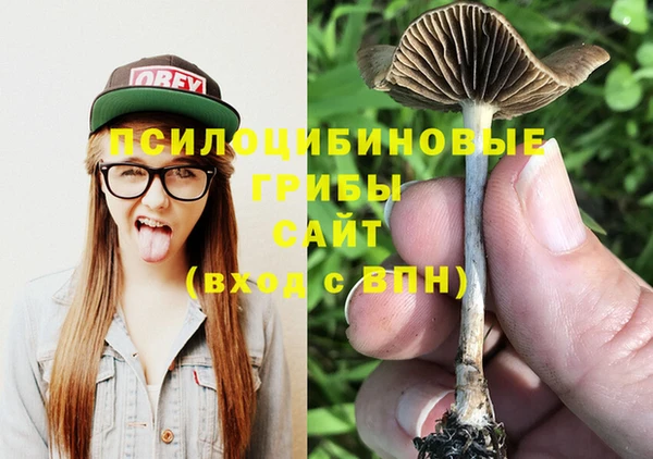 гашик Богородск