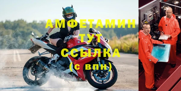 индика Богданович